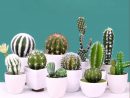 Us $0.8 26% Off|Artificial Succulents Plant Garden Miniature Fake Cactus  Diy Home Floral Decoration Wedding Office Garden Decorative  Plant|Artificial ... tout Jardin Cactus Miniature