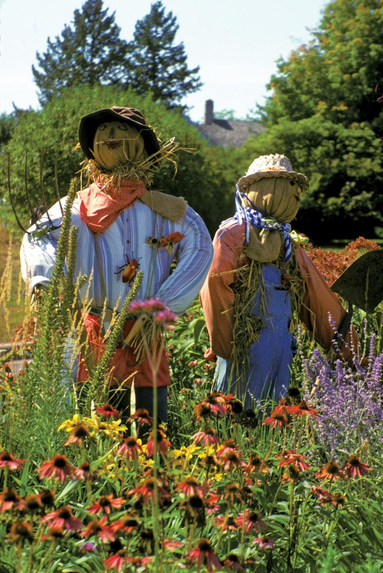 Using Scarecrows As A Garden Guard | Épouvantail De Jardin … tout Epouvantail De Jardin