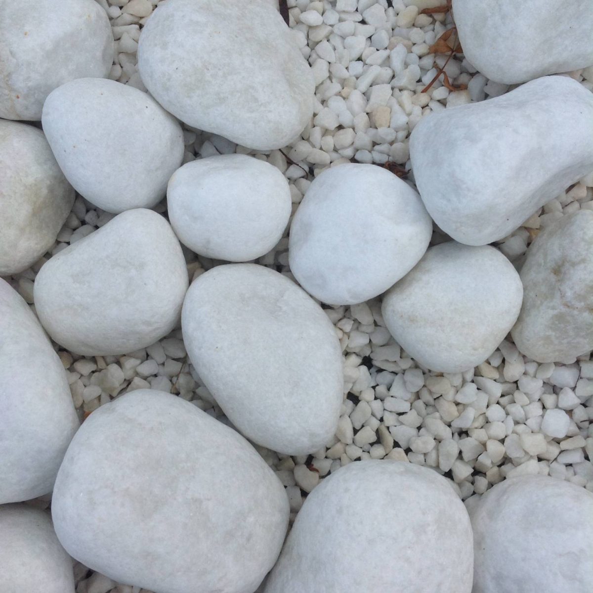 Vente De Galets Décoratifs Pas Cher Gers 32 - Magasin De ... intérieur Galet Blanc Jardin Pas Cher
