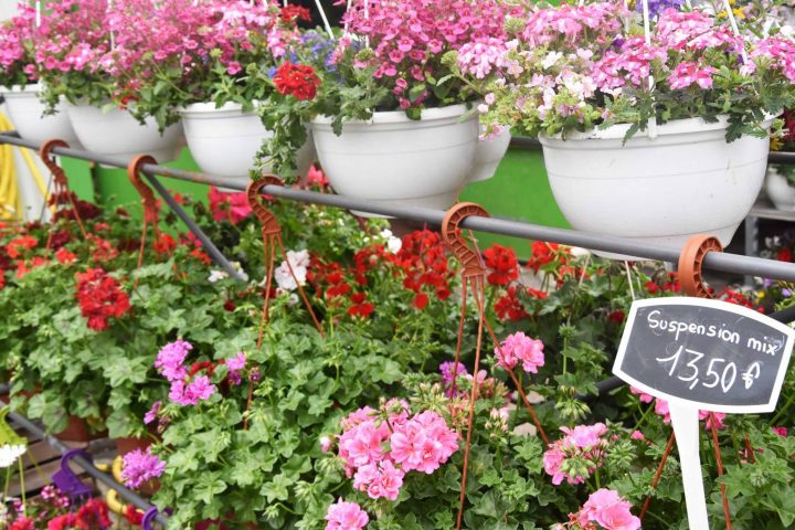 Vente Fleurs Et Plantes À Villefranche-Sur-Saône – Les … serapportantà Serre De Jardin Occasion