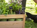 Ventes Privées Botanic® : Une Sélection De Produits Pour Le ... à Vente Privée Jardin