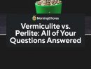 Vermiculite Vs. Perlite: Similarities, Differences, And ... dedans Perlite Jardin