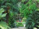 Villa Les Cèdres Au Cap Ferrat, Un Jardin Botanique Mythique ... pour Chemin De Jardin Pas Cher