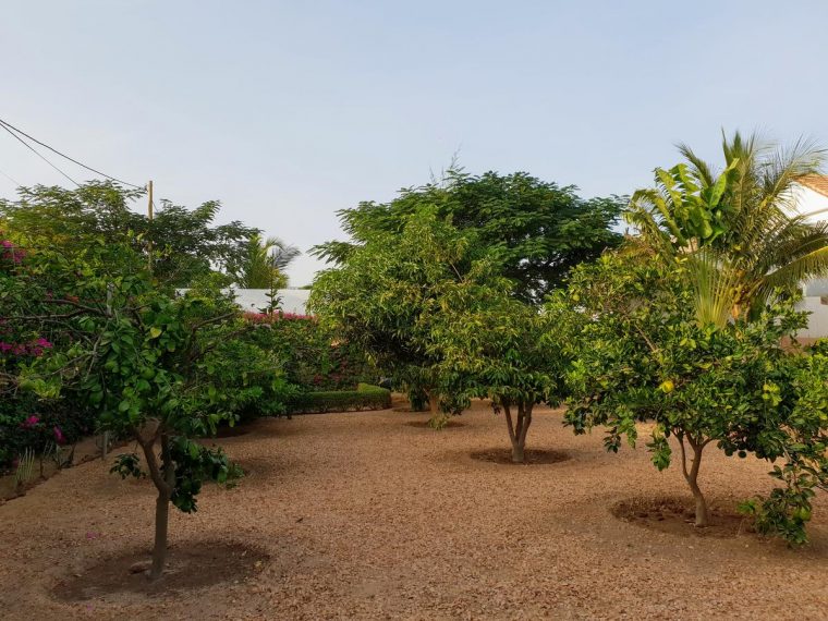 Villalar La Maison Blanche À Ngaparou, (Senegal Ngaparou … destiné Salon De Jardin Totem