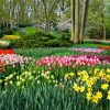 Visit The Keukenhof, The Largest Flower Garden In The World ... intérieur Jardin De Keukenhof