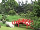 Visite De Jardin : Le Jardin Japonais Compans Caffarelli ... dedans Plante Jardin Japonais