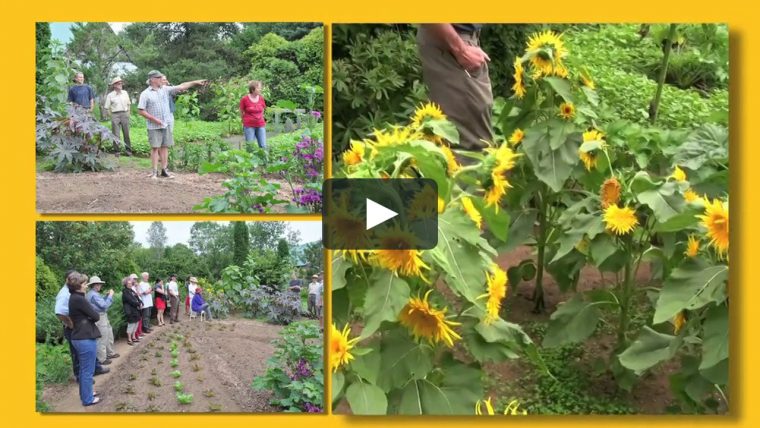 Visites De Jardins Écologiques On Vimeo destiné Jardins Écologiques