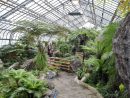 Voyager Autour Du Monde Au Jardin Botanique De Montréal ... tout Jardin Botanique Emploi