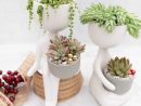Warmhearted Friends | Succulents, Succulents In Containers ... tout Jardin En Kit Pret A Planter