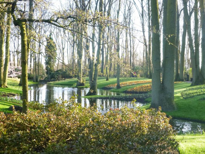 Wikiloc – Photo Of Jardins De Keukenhof (Lisse, Holanda) (1/6) encequiconcerne Jardin De Keukenhof
