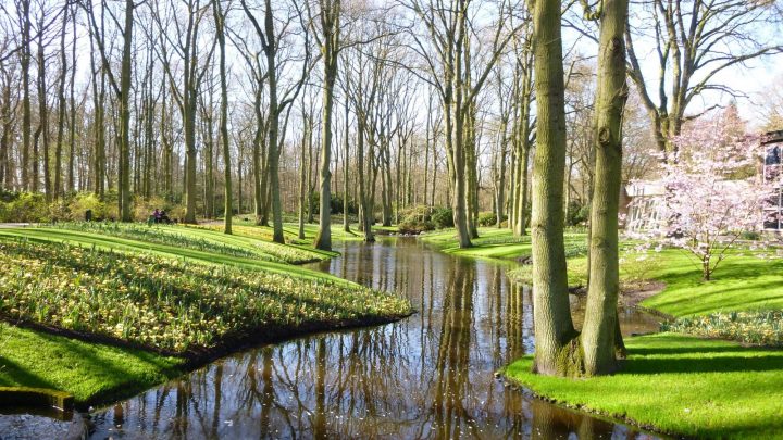 Wikiloc | Picture Of Jardins De Keukenhof (Lisse, Holanda) (4/6) avec Jardin De Keukenhof