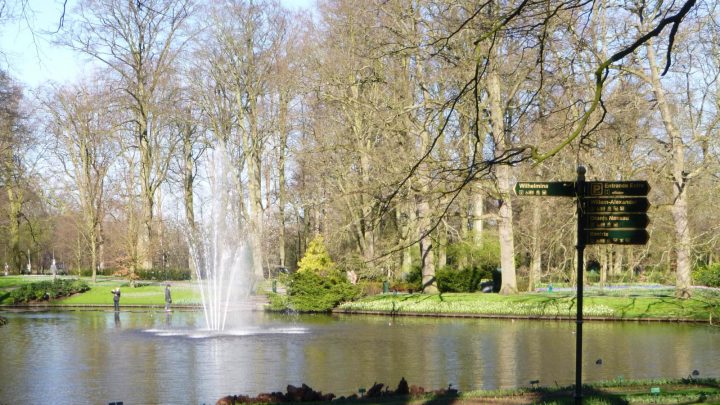 Wikiloc | Picture Of Jardins De Keukenhof (Lisse, Holanda) (4/6) pour Jardin De Keukenhof