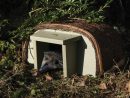 Wildlife Maison À Hérisson Entrée En Bois Abris Pour ... destiné Maison Pour Herisson Jardin