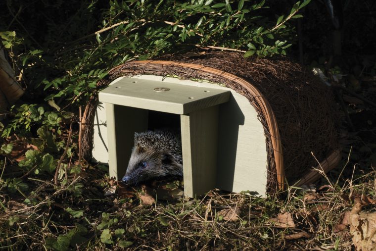 Wildlife Maison À Hérisson Entrée En Bois Abris Pour … destiné Maison Pour Herisson Jardin