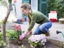 7 Idées D'aménagement Pour Jardin Pas Chères | Envie De Plus pour Comment Aménager Son Jardin Pas Cher