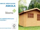 Abri De Jardin En Bois Askola Blooma (610707) Castorama tout Castorama Chalet