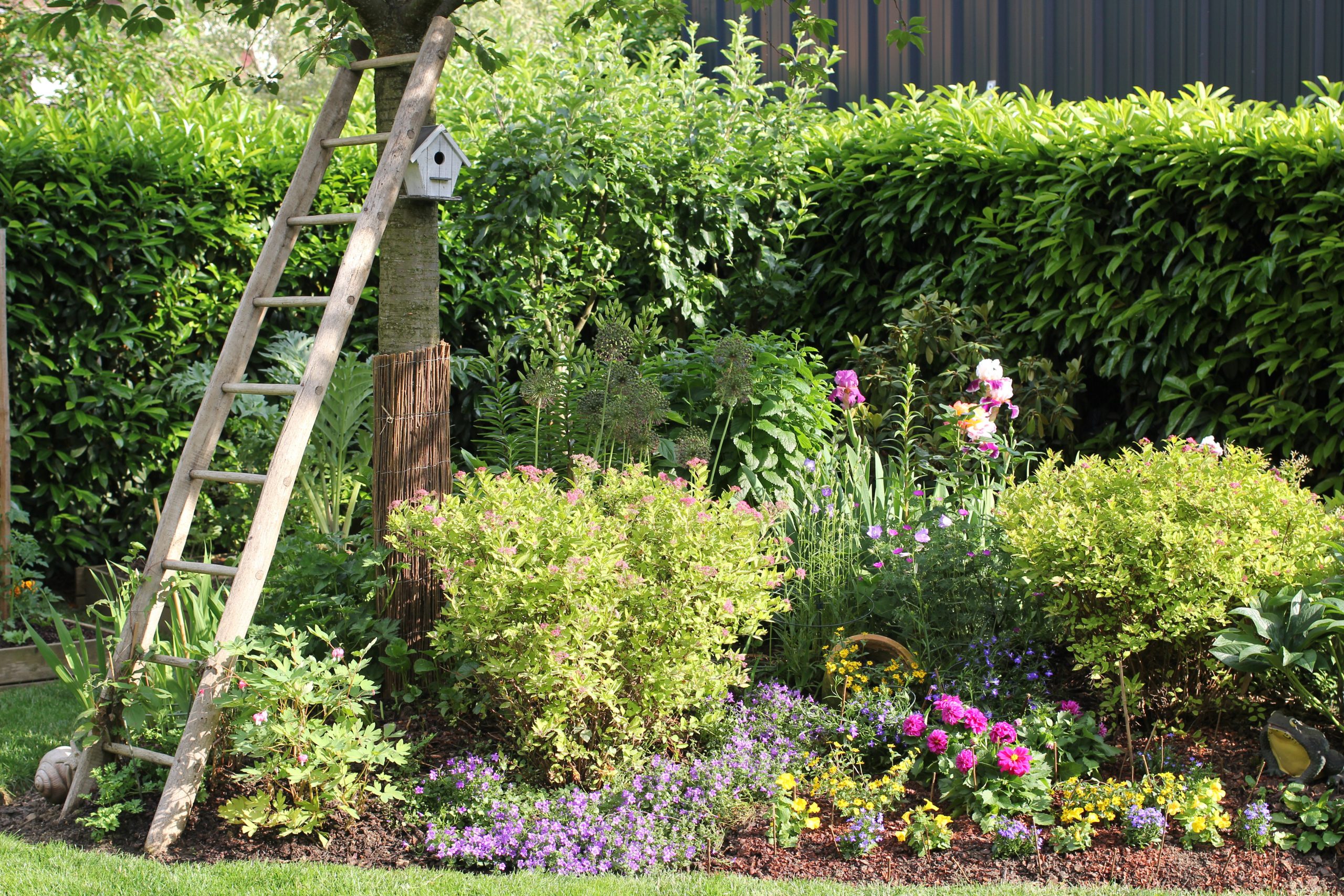 Aménager Son Jardin : Budget Et Conseils tout Comment Aménager Son Jardin Pas Cher