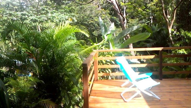 Au Jardin Des Colibris Deshaies Guadeloupe … Gite De Charme Au Coeur De  La Nature intérieur Jardin Des Colibris Guadeloupe