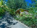 Au Jardin Des Colibris (Deshaies, Guadeloupe) pour Jardin Des Colibris Guadeloupe