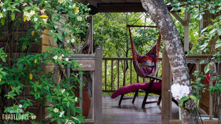 Au Jardin Des Colibris, Un Ecolodge Exceptionnel – Insolite … avec Jardin Des Colibris Guadeloupe