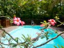 Au Jardin Des Colibris, Un Ecolodge Exceptionnel – Insolite ... destiné Jardin Des Colibris Guadeloupe