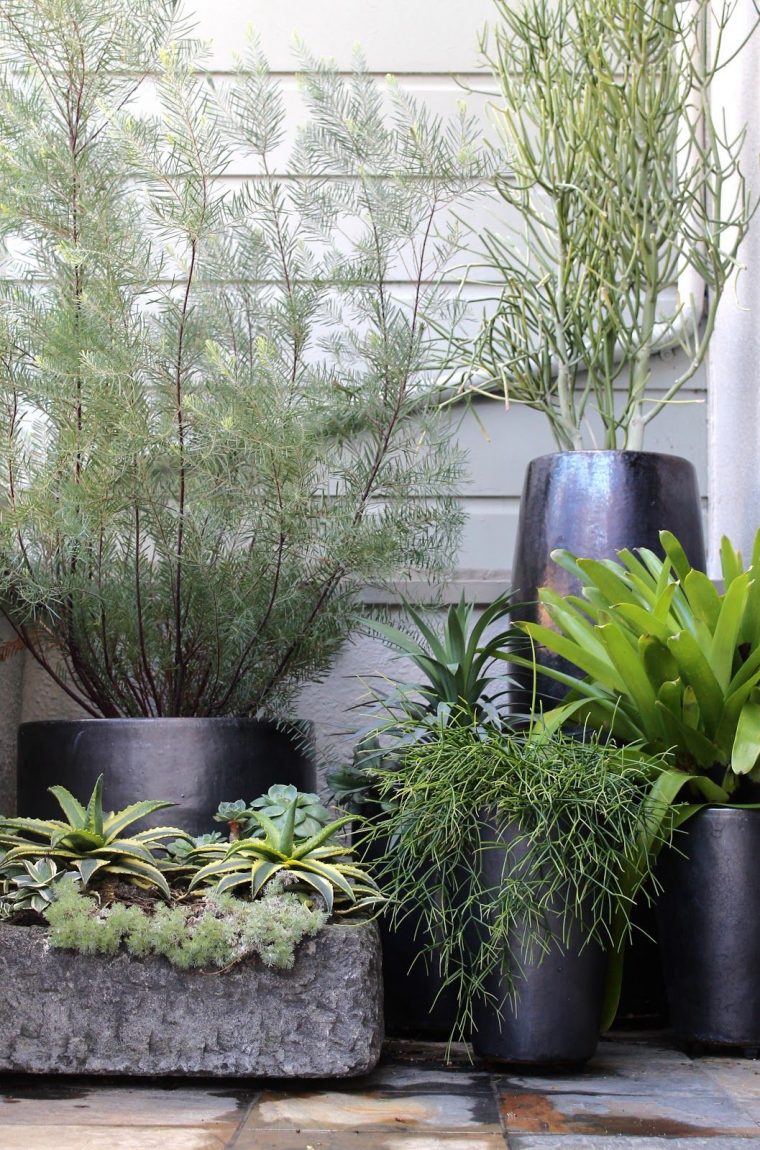 Black Pots | Decoration Jardin, Jardins Et Amenagement Jardin tout Pot Couleur Jardin