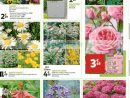 Catalogue Auchan Du 04 Au 14 Mars 2020 (Jardin) - Catalogues ... dedans Auchan Jardin