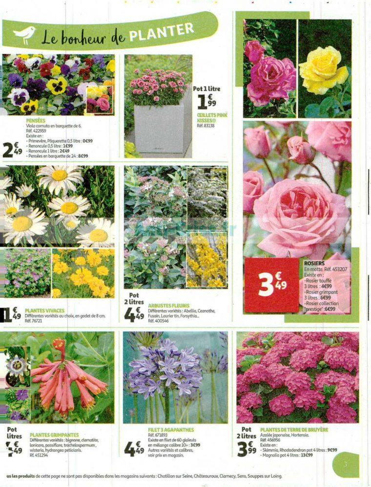 Catalogue Auchan Du 04 Au 14 Mars 2020 (Jardin) – Catalogues … dedans Auchan Jardin