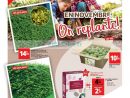 Catalogue Auchan Du 07 Au 13 Novembre 2018 (Jardin ... destiné Auchan Jardin