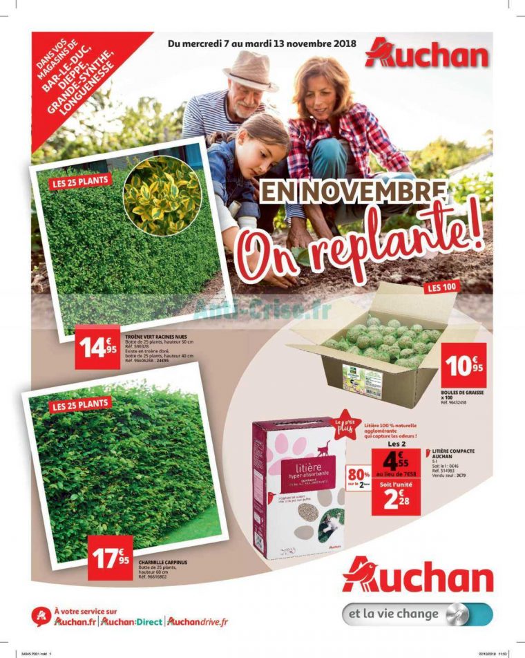 Catalogue Auchan Du 07 Au 13 Novembre 2018 (Jardin … destiné Auchan Jardin