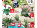 Catalogue Auchan Du 17 Au 23 Avril 2019 (Jardin ... à Auchan Jardin