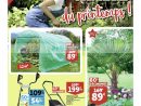 Catalogue Auchan Du 20 Au 26 Mars 2019 (Nord Jardin ... dedans Auchan Jardin