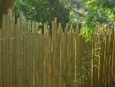 Clôture Bambou Japonaise Ø5Cm dedans Brise Vue Cloture Jardin
