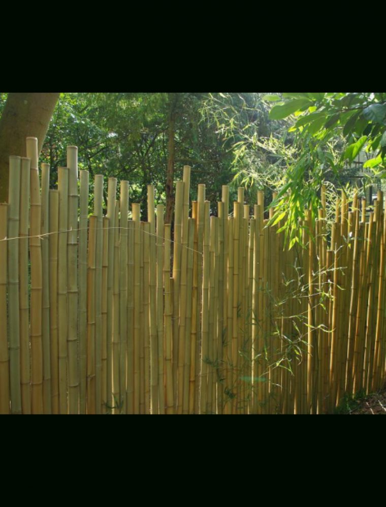 Clôture Bambou Japonaise Ø5Cm dedans Brise Vue Cloture Jardin