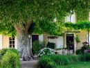 Conceptuelles Paysage Et Decoration: //aix En Provence ... avec Deco Jardin