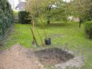 Conseils Jardinage : Planter Le Bon Arbre À La Bonne Place ! dedans Abonnement Mon Jardin Ma Maison