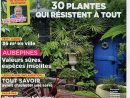 Direct-Éditeurs - * Le Service-Client Des Diffuseurs De Presse * concernant Ami Des Jardins Magazine