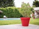 Donnez Une Touche D'élégance À Votre Jardin Avec Nos Pot ... serapportantà Pot Rouge Jardin