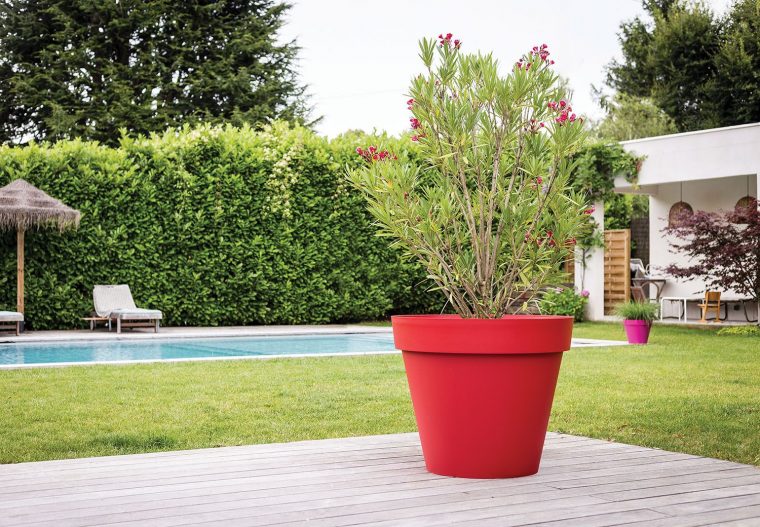 Donnez Une Touche D'élégance À Votre Jardin Avec Nos Pot … serapportantà Pot Rouge Jardin