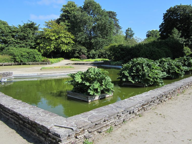File:jardin Des Plantes D'avranches – Bassin Des Gunneras … dedans Jardin Des Plantes Avranches