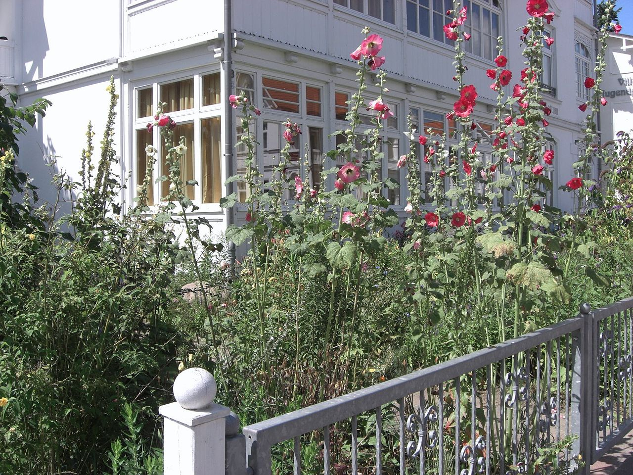 File:jardin Devant La Maison À Ahlbeck.jpg - Wikimedia Commons destiné Jardin Devant Maison