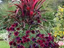 Fleurs Rouge Sombre | Jardin Anglais | Jardins, Pot Jardin ... pour Pot Rouge Jardin