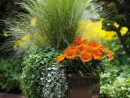 Grand Pot De Fleurs : Sélection Spéciale De Plus De 50 Modèles concernant Grand Pot Pour Jardin