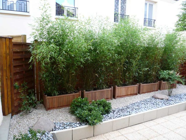 Haie De Bambous En Pots | Aménagement Jardin | Bambous … à Deco Jardin Bambou