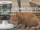 Jeux Et Fontaine Pour Chat - Catit - Jardinerie Truffaut Tv à Fontaine A Eau Chat Truffaut