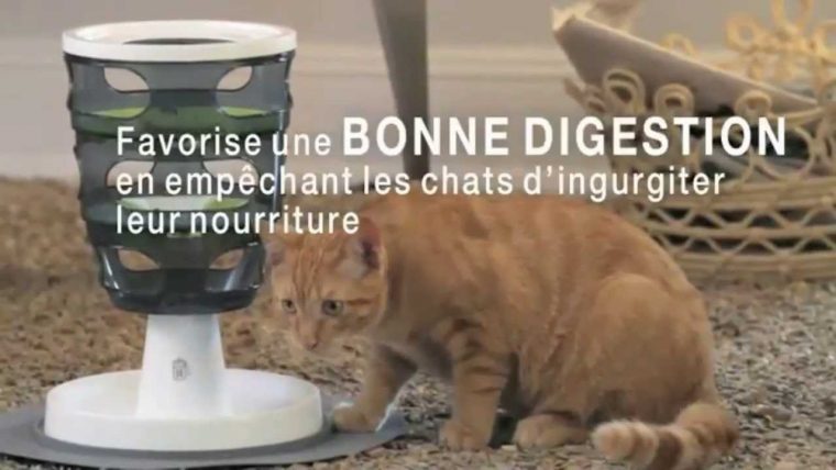 Jeux Et Fontaine Pour Chat – Catit – Jardinerie Truffaut Tv à Fontaine A Eau Chat Truffaut