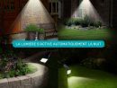 Lampe Solaire Jardin À Planter - Luminaire Solaire encequiconcerne Lampe Solaire Jardin Puissante