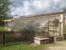 Le Jardin Salomon - Plaisir-Jardin destiné Serre De Jardin Adossee Un Mur