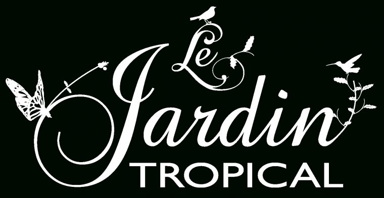 Le Jardin Tropical – Location Vacances En Guadeloupe, Villa … à Le Jardin Tropical Bouillante