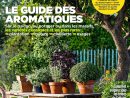 Magazine L'ami Des Jardins Et De La Maison N°1092 - Juillet 2018 tout Ami Des Jardins Magazine